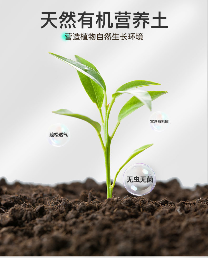 6c5c8fbe-8a39-4825-8cdc-8e1172b97e81.jpe