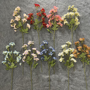 ������ͩ��@�LС�黨�廨���滨��c�ٻ�ˇ���Ŀ羳���Q���R�d