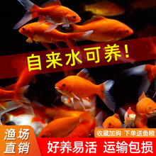 ��ˮ�^�p�~��ˮ�^�p�~���~�ݽ��~����w���~С���~�^�p�~���~���