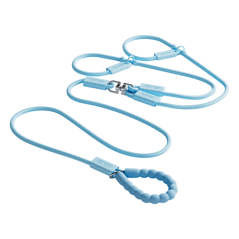 Guinzaglio per cani con catena a P a doppia testa regolabile, anti-esplosione, essenziale per passeggiate e guinzagli con il cane_voghion.com