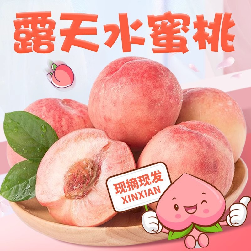【果园直发】河南新鲜水蜜桃现摘脆甜桃子新鲜水果特大毛桃整箱