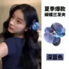 5081 Phalaenopsis-dark blue