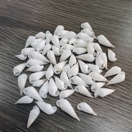 天然贝壳海螺白玉子弹螺马丁瓷螺稀有标本收藏家居地台装饰摆件