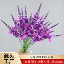 �羳�������ֲ��޹�²ݴ��ݿ͏d�����ٻ����b������ϾGֲ�b�