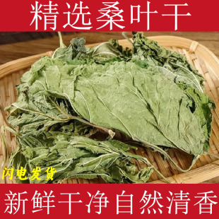 ɣ�~��ș�����r���ɣ�~˪��ɣ�~ɣ���~��ɣ�~˪�����˪��ɣ�~��