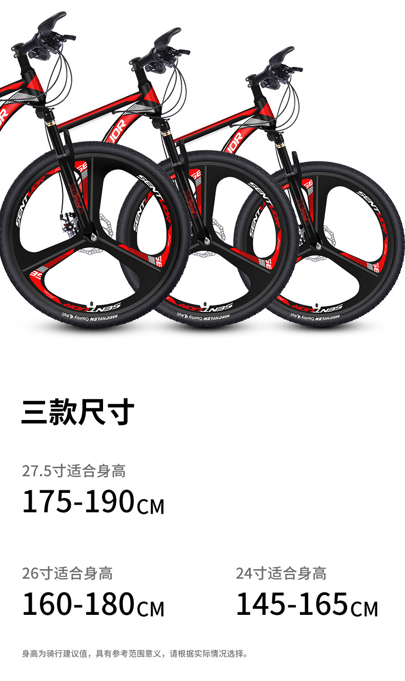 41b6e4e8-536a-454c-acfc-c109a0b81667.jpe