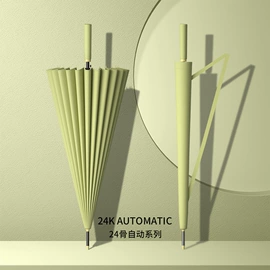 晴雨伞;雨伞;广告伞