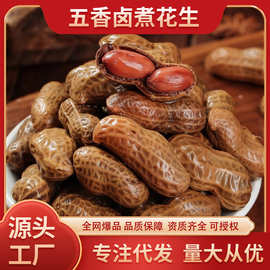 水煮花生五香带壳湿聚会夜市烧烤卤味下酒菜花生零食香辣袋装大促