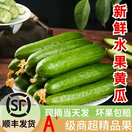 其他水果;哈密瓜;奇异果猕猴桃