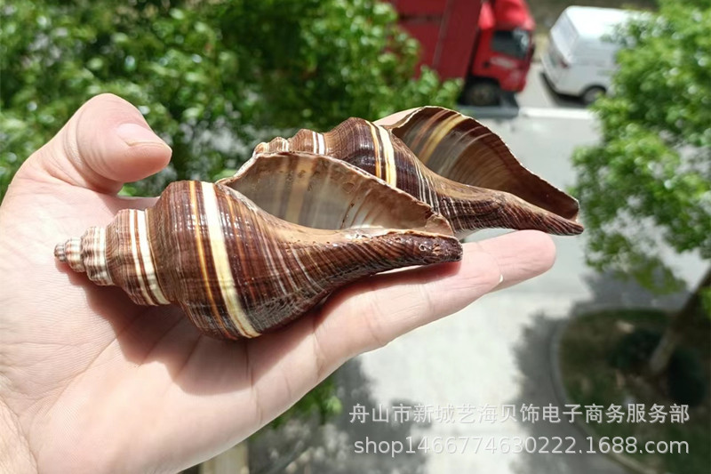 微信图片_20220630172649_副本1