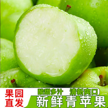 云南苹果10斤现摘新鲜水果整箱丑苹果孕妇水果青森冰糖心时令包邮