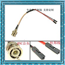 BNC���^�D�Ű�ĸ�tɫ��ɫ�B�Ӿ���̖�����lҕ�l���L��ȫ�~Q9���l