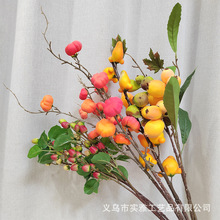 ϹS˹֦ʽҾӔ[ٻ羳N