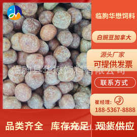 鸽粮 白豌豆 批发优质进口加拿大白豌豆 绿豌豆 赤豆 麻豌豆 饲料