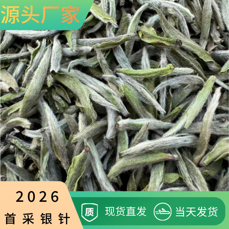 2026 First Harvest White Silver Needle New Tea Is Now Available, Fresh, Refreshing, Sweet, and Rich in Aroma, Direct Supply from the Source, Large Quantities, Excellent Price