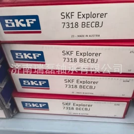 深沟球轴承;调心滚子轴承;圆锥滚子轴承