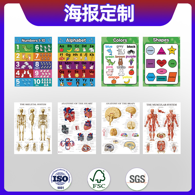 跨境外贸世界地图人体结构医学儿童教育大海报定制跨境海报印刷