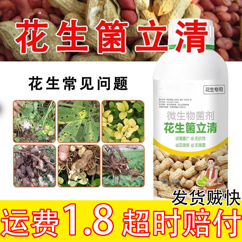 The New Peanut-Specific Qunliqing Microbial Agent Promotes Root Growth, Strengthens Seedlings, and Prevents Root Rot, Leaf Spot, and Leaf Burn The New Peanut-Specific Qunliqing Microbial Agent Promotes Root Growth, Strengthens Seedlings, and Prevents Root Rot, Leaf Spot, and Leaf Burn