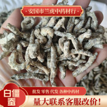 中药材白僵蚕500g批发产地云南白僵虫 僵蚕 批发量大价优 白僵蚕