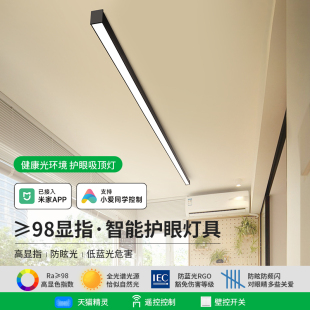 Minimalist Away Light Corridor Light Sunshine Room Cloakroom Balcony Ceiling Light Simple LED Strip Light Entrance Lamps