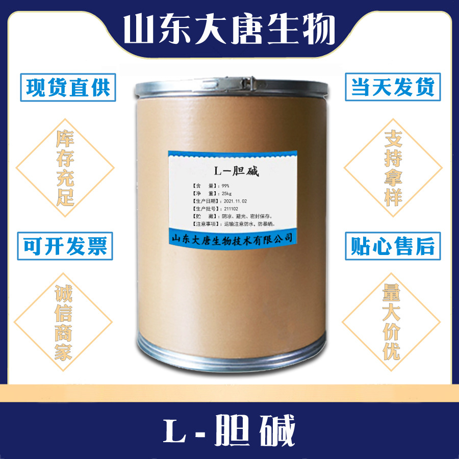 现货供应 L-胆碱 食品级胆碱 营养强化剂  1KG起订
