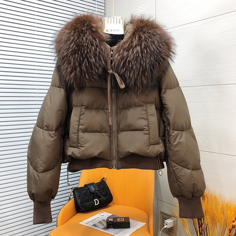 European Version 2023 New Entry Light Luxury Large Fur Collar Loose Goose Down Dress Women's Short Bread Korean Down Jacket Fur Coat