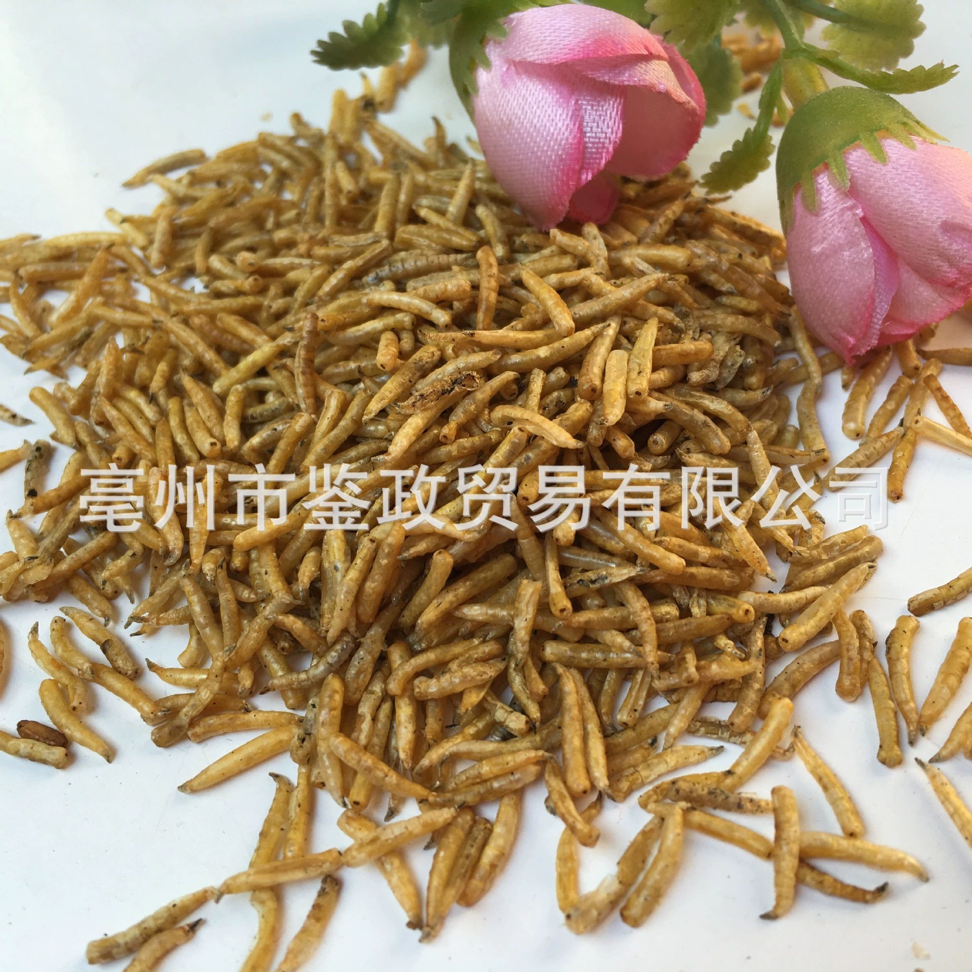 Dried Maggot Larvae Wu Gu Chong Boneless Insect Feed 500g Bag quality and texture