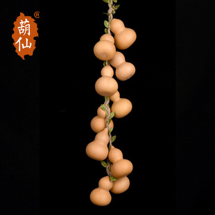 Natural Small Gourd Hand-Twisted Pendant String Home Decoration for Living Room, Office, Entrance Wall Hanging Ornament