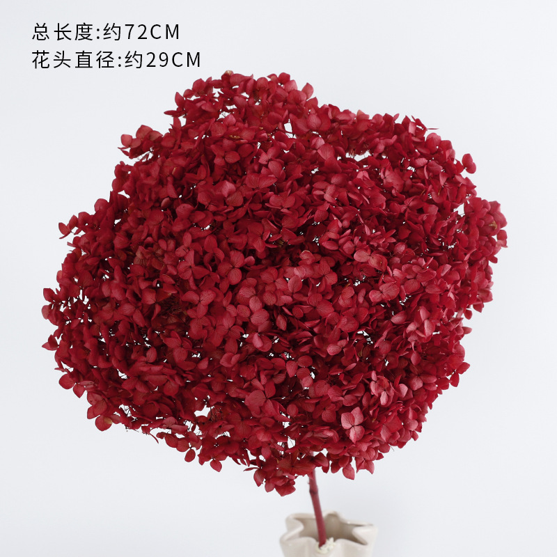 Red red inmortalidad serie de flores secas de hierba de hortenida decoración hecha a mano DIY materiales de floristería lote