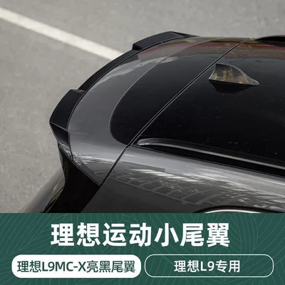 Fixed wind wing small tail modification - ideal-l8-mc-x-small-rear-wing-painted-model