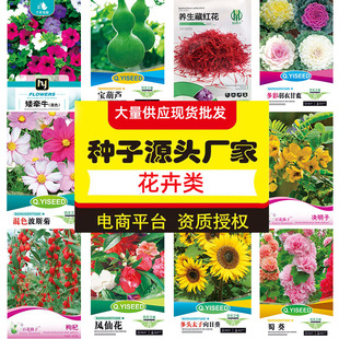 �F؛���l��ţ���{�������J�ؼt����ʸ��{��������һ��ܴ�ȫ