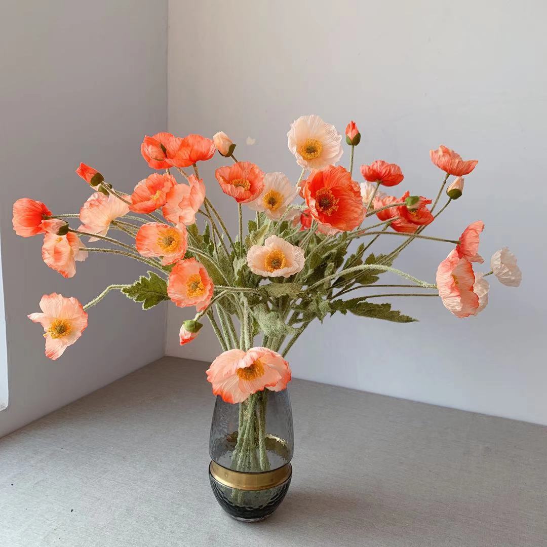 33b24f275acf249caef8de5d6e971c