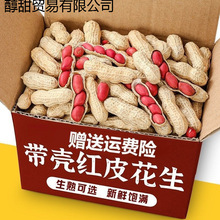 2025����؛�¼tƤ�������������r���ԭζ�����F偳�؛�r�һ�����