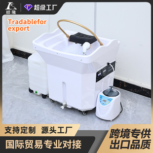 Movable Shampoo Basin Head Therapy Instrument Fumigation Constant Temperature Water Circulation Beauty Salon Barber Shop Hair Salon Hair Care Center Dedicated