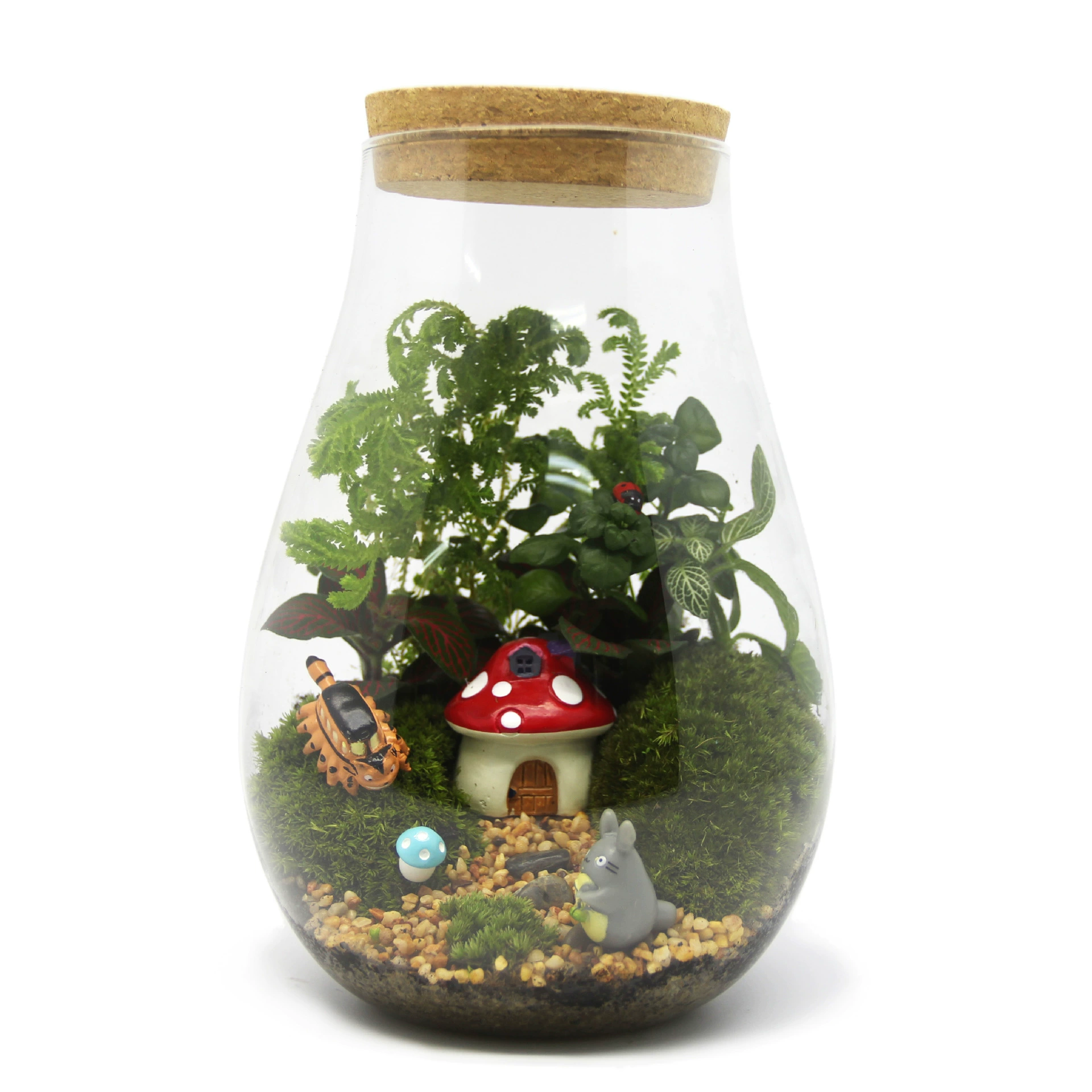 Мох Микро Пейзаж Творческий Подарок Украшения Зеленое Растение Бутылка Моха Экологическая Бутылка Капля Воды Бутылка Завод Маленький Мир