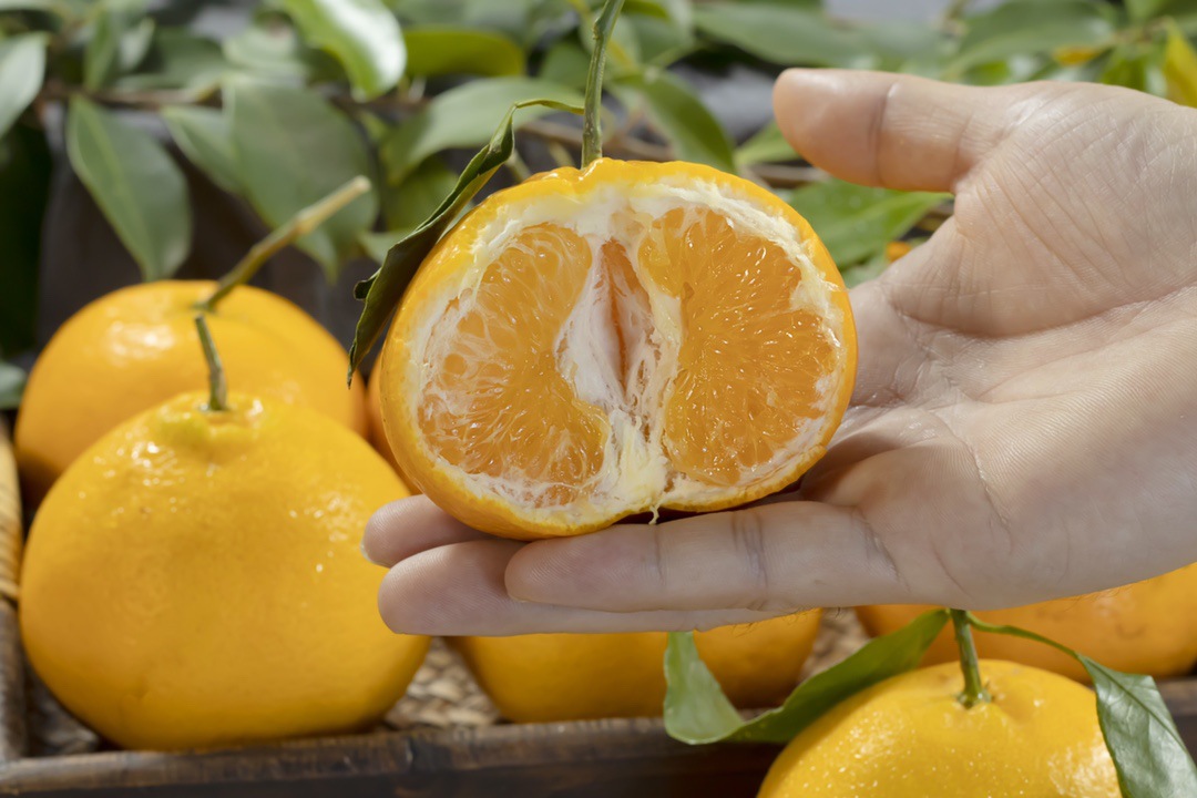 微信图片_20251126074920_326_10