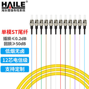 HAILE���� ST��ģ���w12о���b������ż� ���m�PODF�侀�܌���