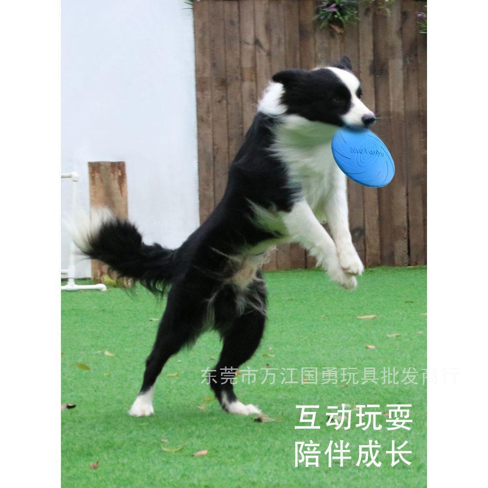 狗狗飛盤邊牧金毛泰迪寵物狗專用飛盤耐咬訓練飛碟回力標狗狗玩具
