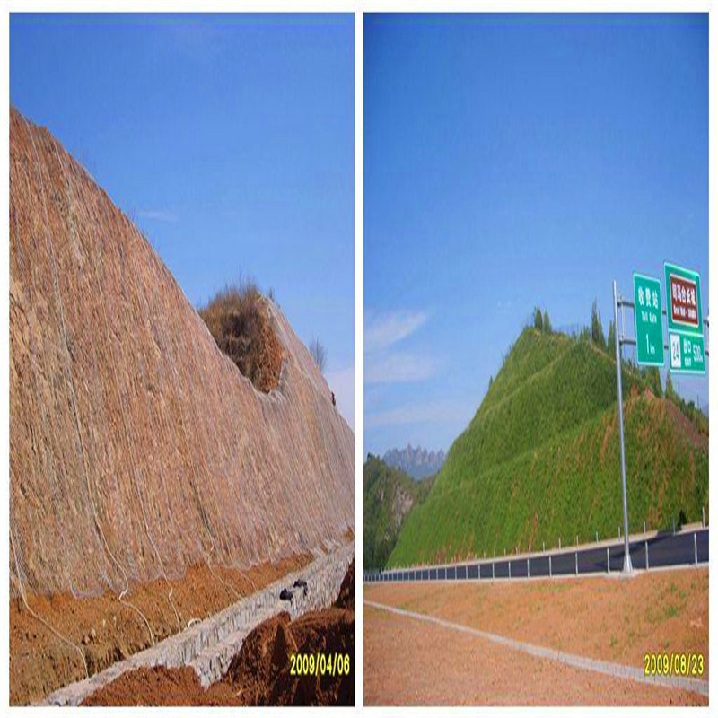 煤矿支护钢丝网 护坡绿化挂网  喷播防护喷锚铁丝网