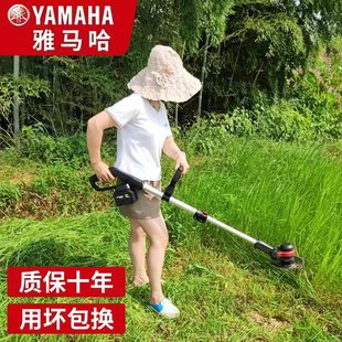 Imported Electric Lawn Mower Rechargeable Small Household Portable High-Power Multi-Functional Agricultural Lithium Battery Lawn Mower