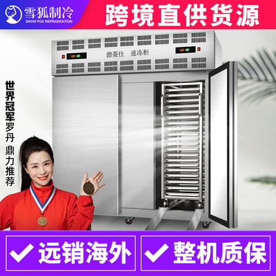 德菱仕包子速凍櫃定制-45度海參速凍機冷藏冰櫃商用速凍櫃冷凍櫃