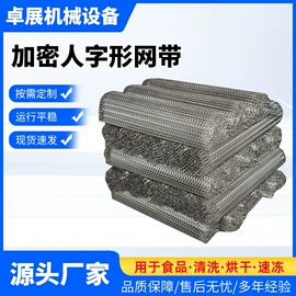 输送机;网带;传动链