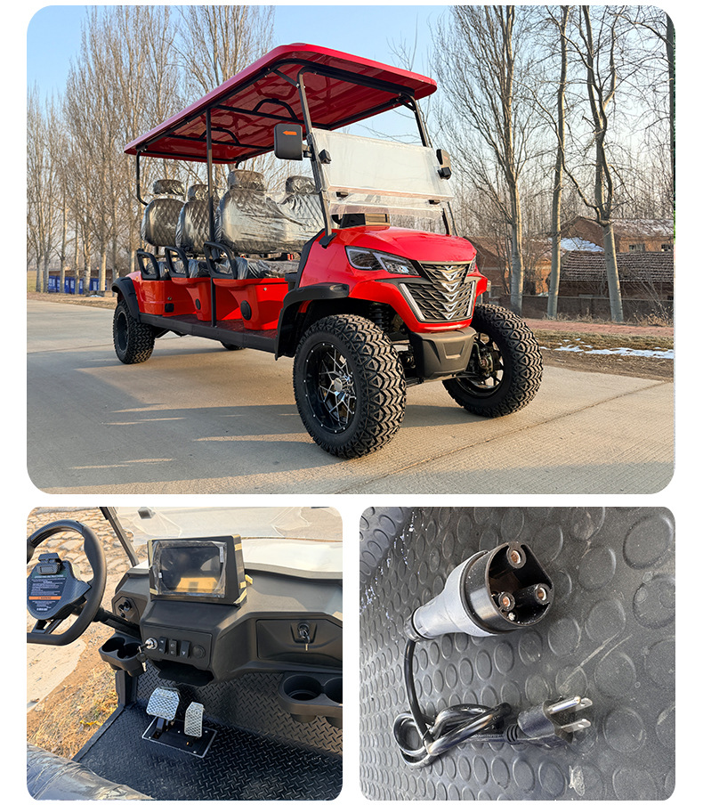 8+2 10-Seat Electric Four-Wheel Vehicle for Sightseeing/Recreation
