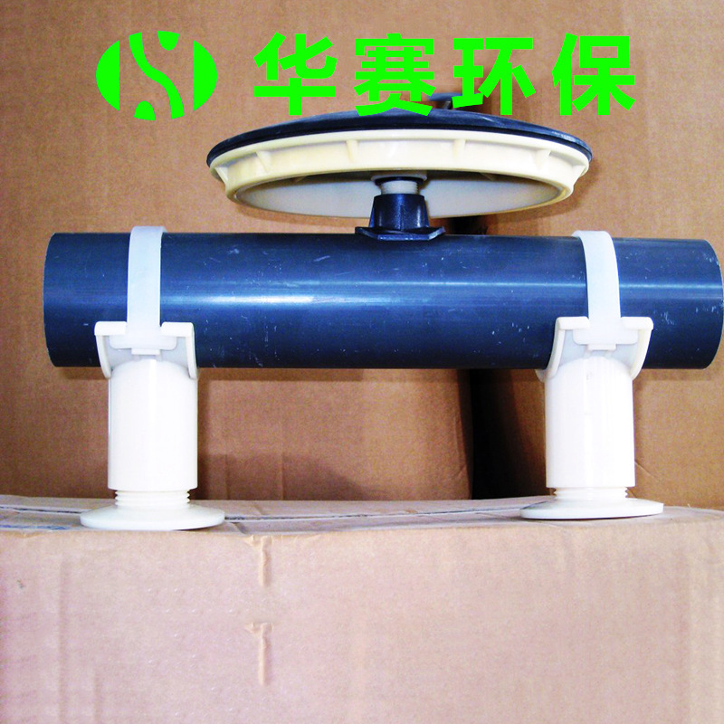 2908524752_379011010