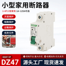 �Ϻ����� DZ47-1PС�͔�·���ܚ����_��·�� �͉��^�d���o����·