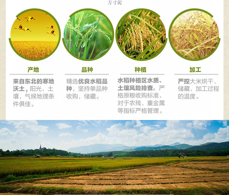 b9aa9686-da97-4abb-86ee-d1ba7d28ac99.jpe