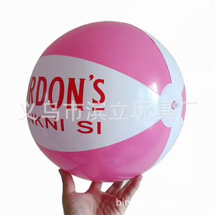 16Ӣ��۰�ɫ���ɳ����LOGO���ƣ�����Сӆ�Σ�