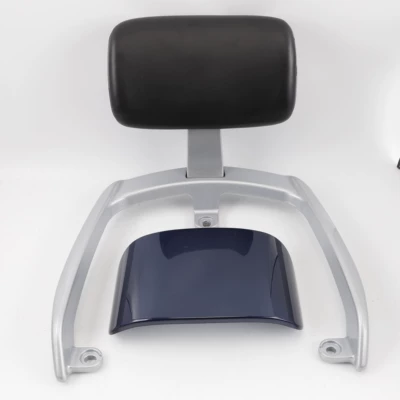 Electric car rear backrest, Suitable for Aima TDR3178Z and - tail-wing-27-backrest-royal-blue-default-item