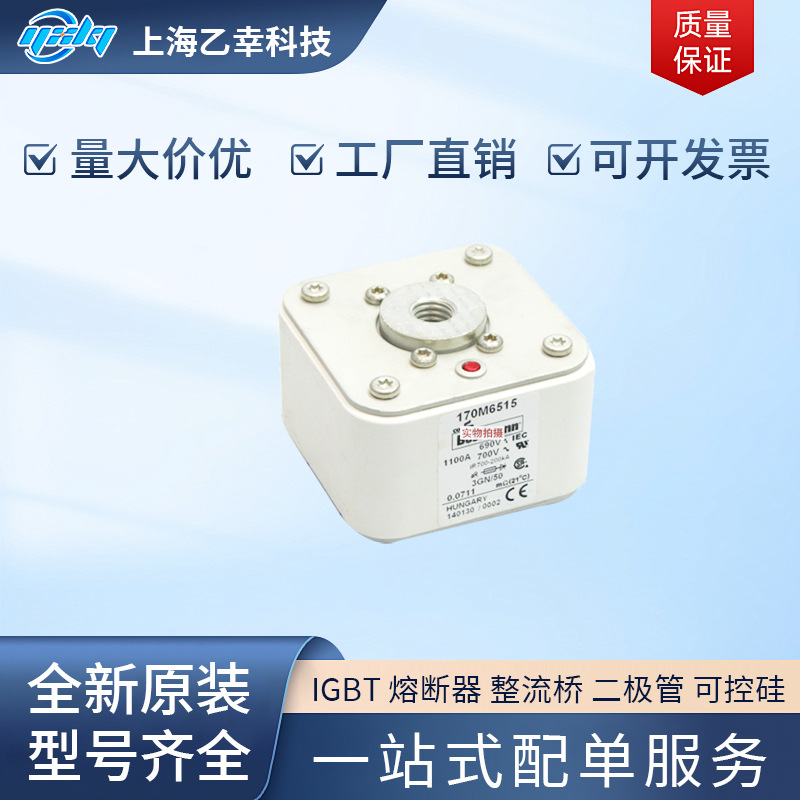 巴斯曼熔断器  170M6589 170M6590 170M6591 170M6592 170M6593