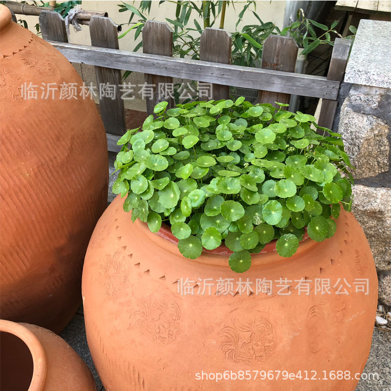 Cerámica maceta de cerámica de comercio exterior maceta de cerámica de alta calidad maceta de cerámica gruesa maceta de flores horticultura comestibles Red Devon estilo europeo rural